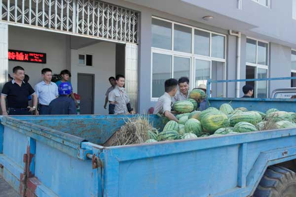 怎樣根據(jù)不同需要選擇合適的物料提升機(jī)型號(hào)？